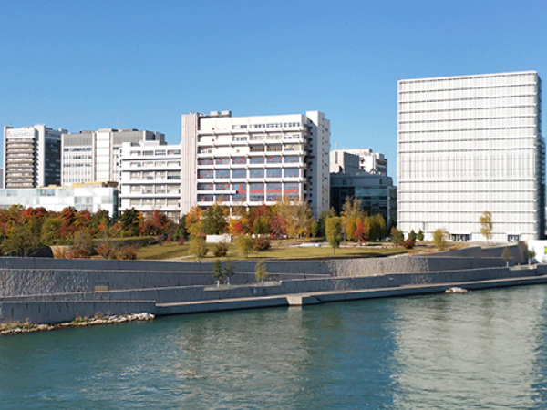 Novartis Campus, Basel