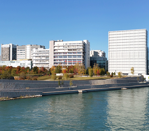 Novartis Campus, Basel